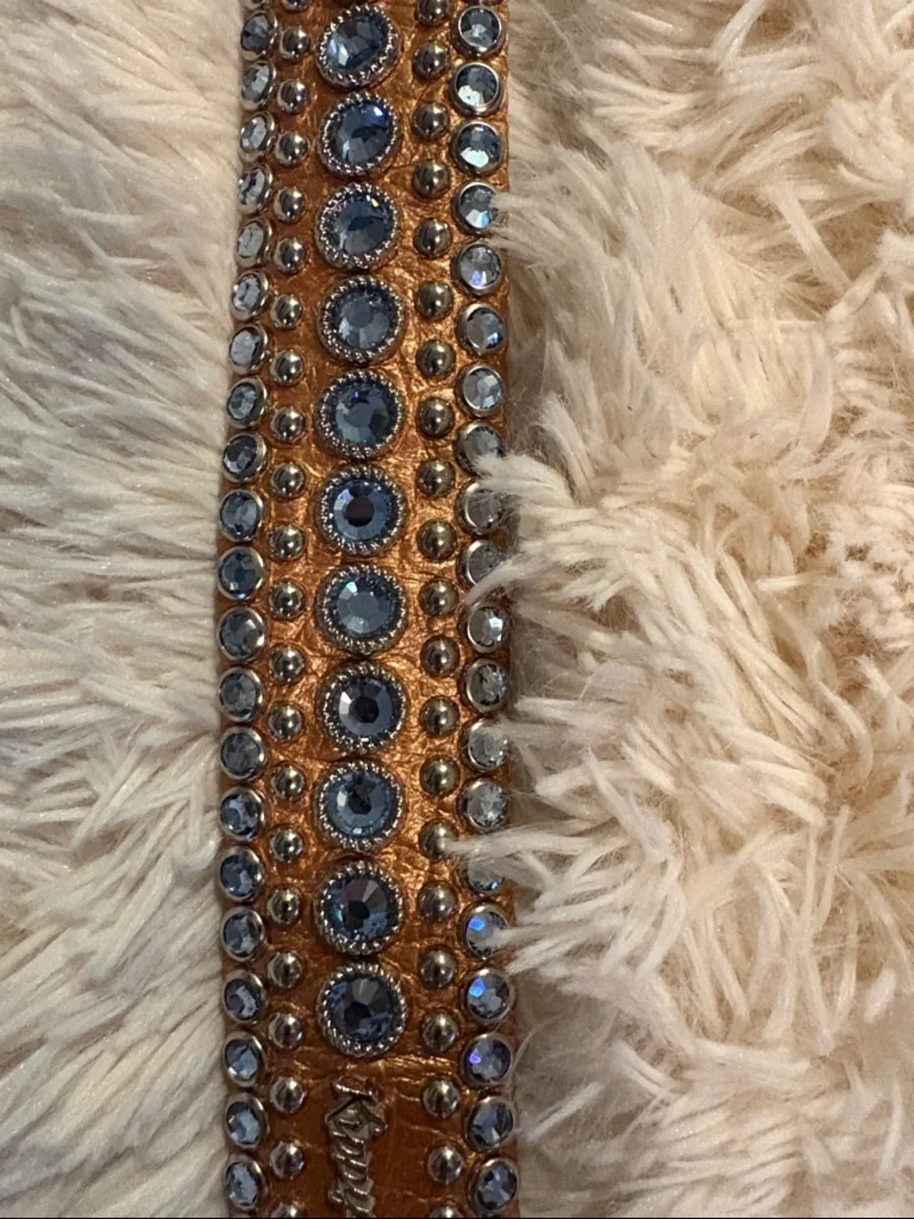 Kippy’s  bronze  metallic leather belt with light blue Swarovski crystals.